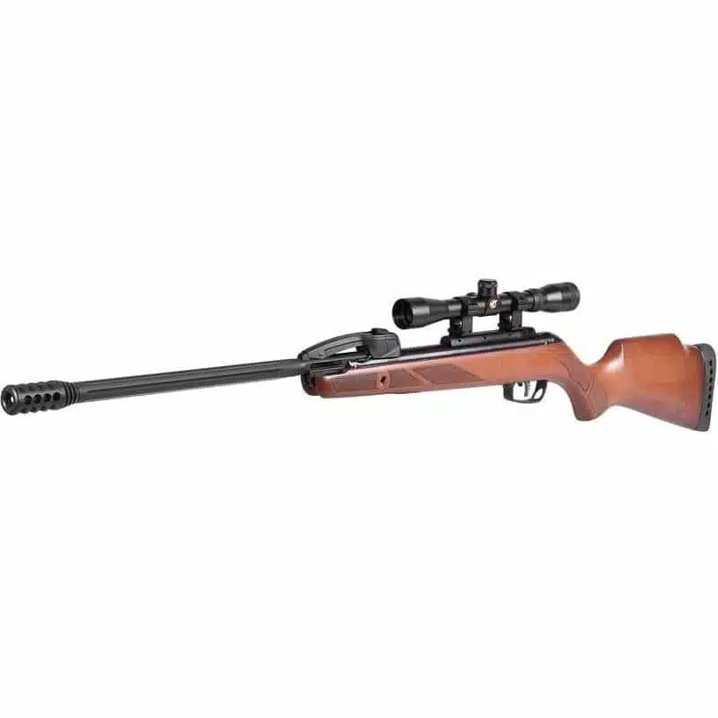 Gamo Fast Shot-10 IGT Air Rifle - Gamo South Africa | IGT