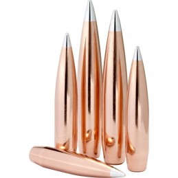 Hornady 6.5mm .264 153gr A-TIP Match