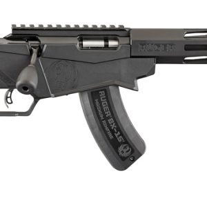 RUGER 17 HMR PRECISION (8402) - Outfitters 4 Africa