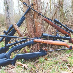 Spring Air Rifles