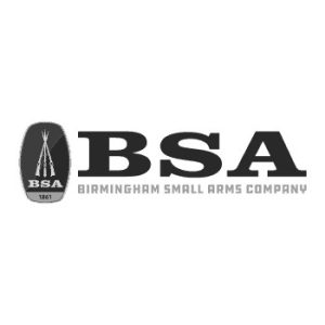 delta_bsa_logo-02